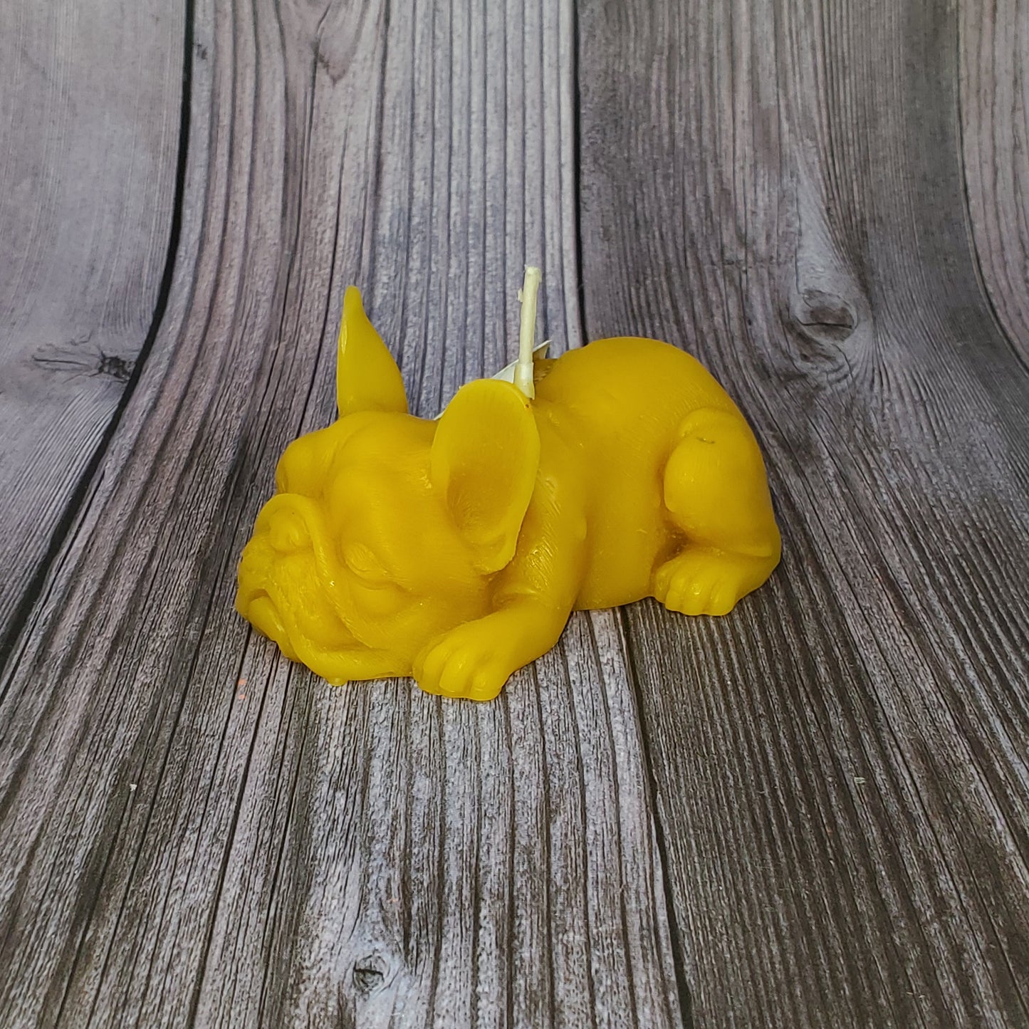 Beeswax Dog Candles - Erikas Crafts