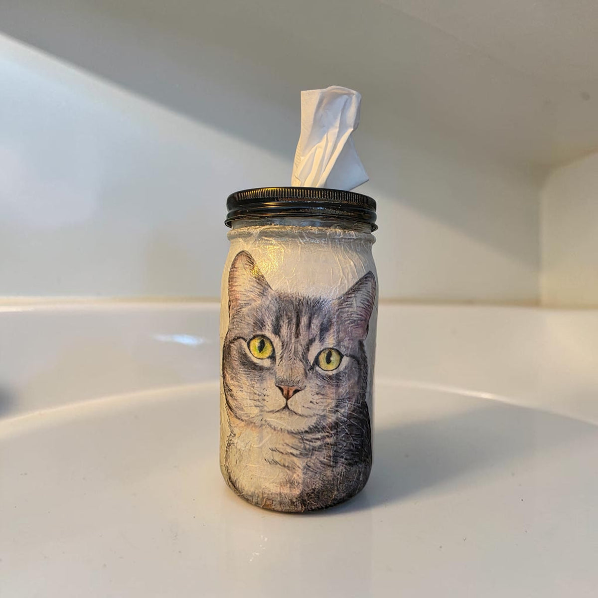 Gray Tabby Cat Mason Jar Tissue Dispenser