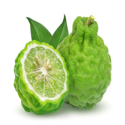 Bergamot Spring