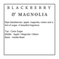 Blackberry & Magnolia