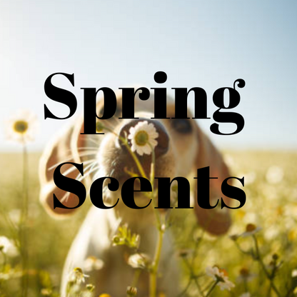 Spring Scents Gel Air Freshener