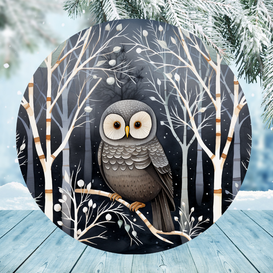 Winter Owl In Tree Round Hanging Door Sign