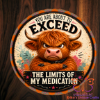 You Are About To Exceed The Limits Of My Medication Metal Door Sign