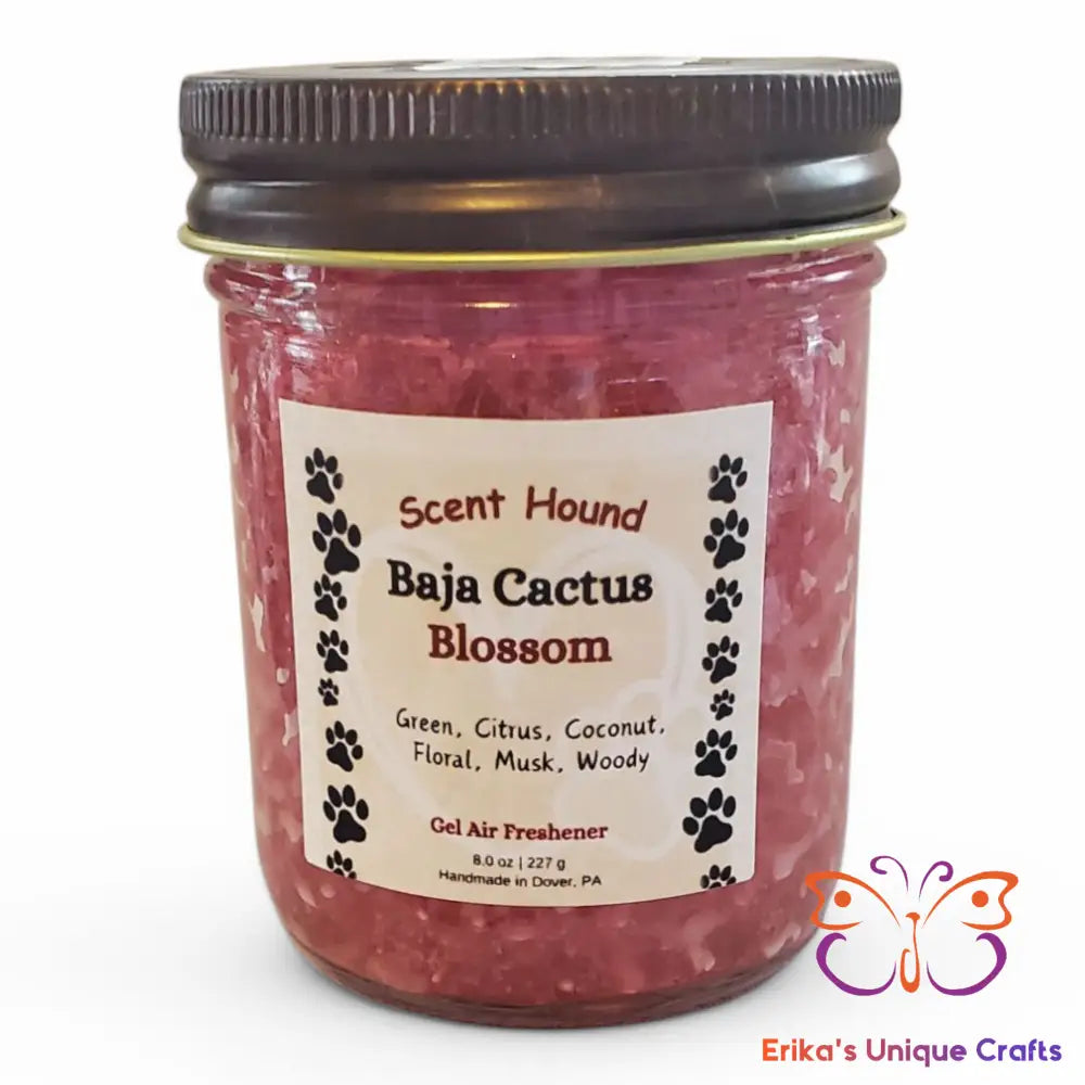 Baja Cactus Blossom Gel Air Freshener Gel Air Freshener