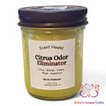Citrus Odor Eliminator Gel Air Freshener Gel Air Freshener