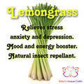 Essential Oils Incense Sticks Lemongrass Incense
