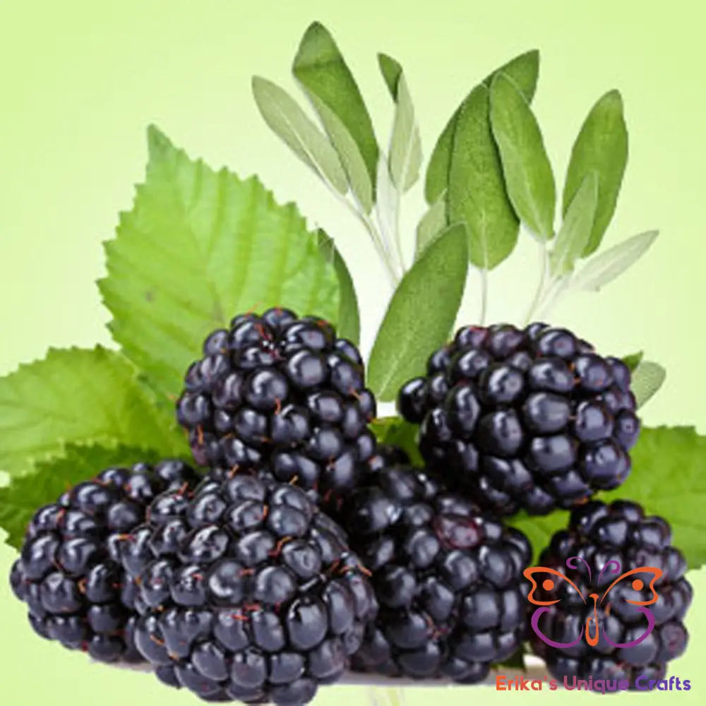 Incense Sticks Blackberry Sage Incense