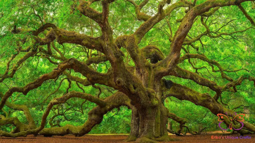 Incense Sticks Earthen Oak Incense