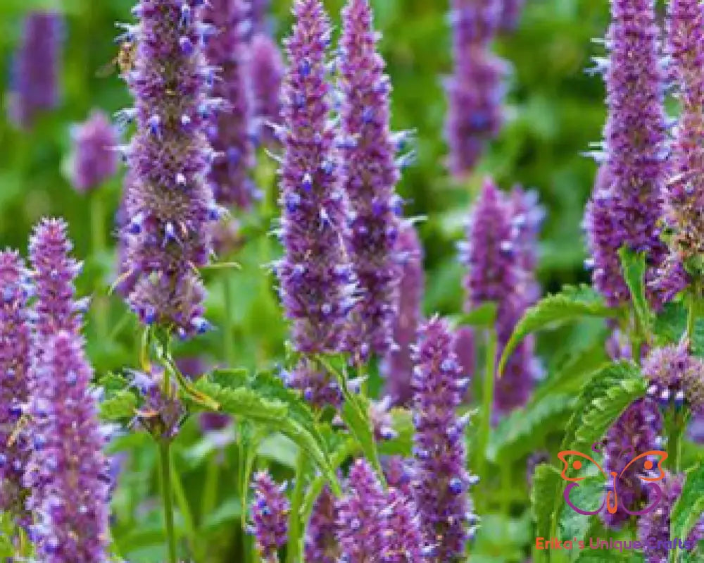 Incense Sticks Lavender Patchouli Incense