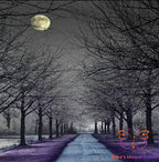 Incense Sticks Moonlight Path Incense