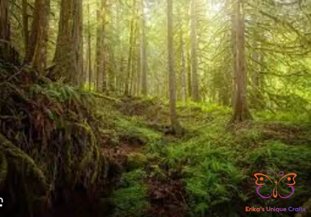 Incense Sticks Mother Earth Incense