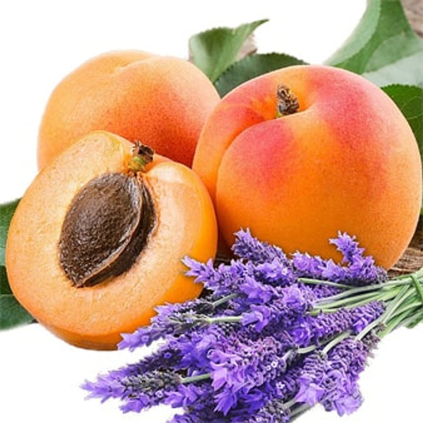 Lavender & Apricot