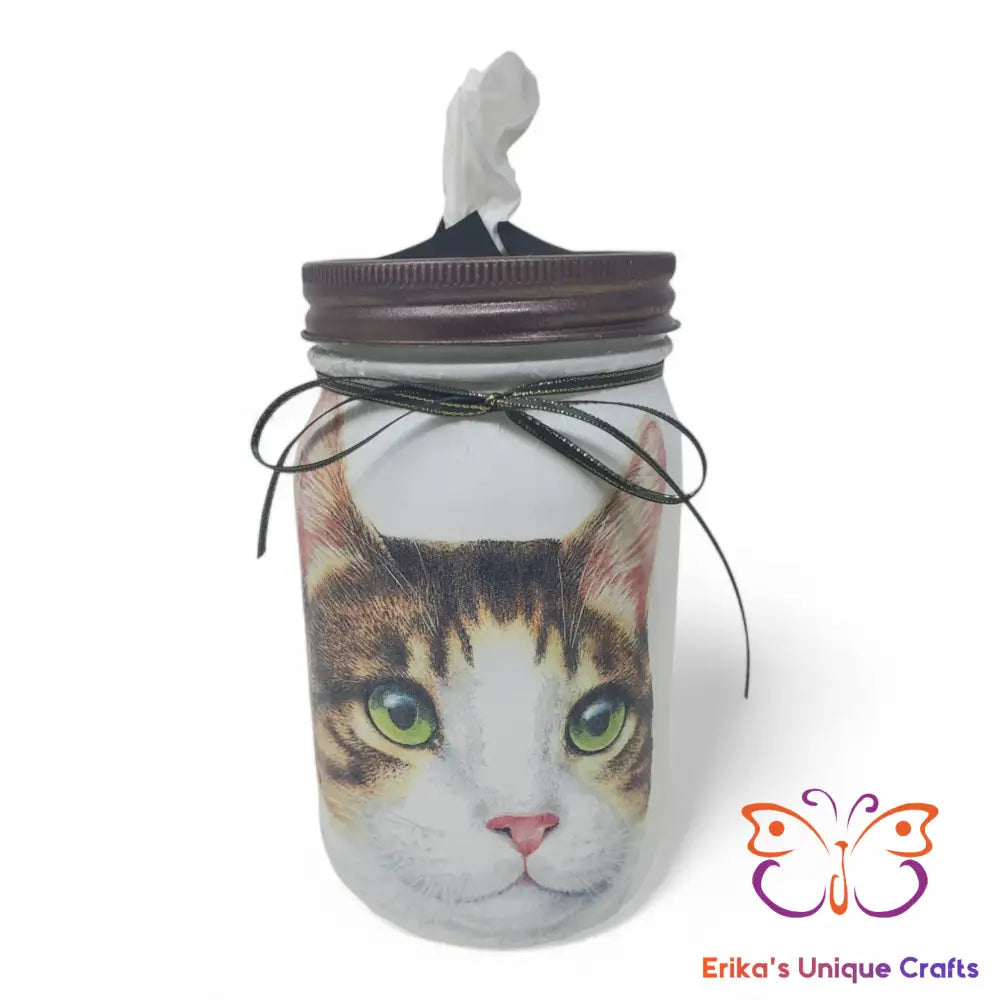Mason Jar Tissue Dispenser Green Eye Tabby Mason Jar