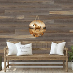 Palomino Horse Round Hanging Door Sign - Door Sign