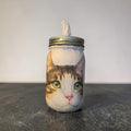 Green Eye Tabby Cat Mason Jar Tissue Dispenser