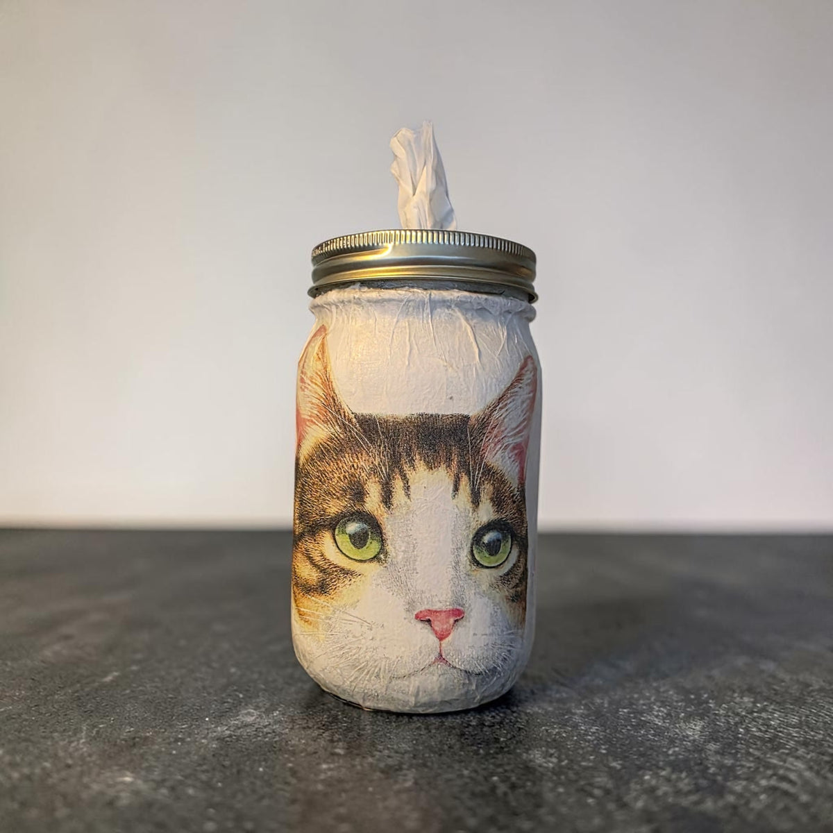Green Eye Tabby Cat Mason Jar Tissue Dispenser