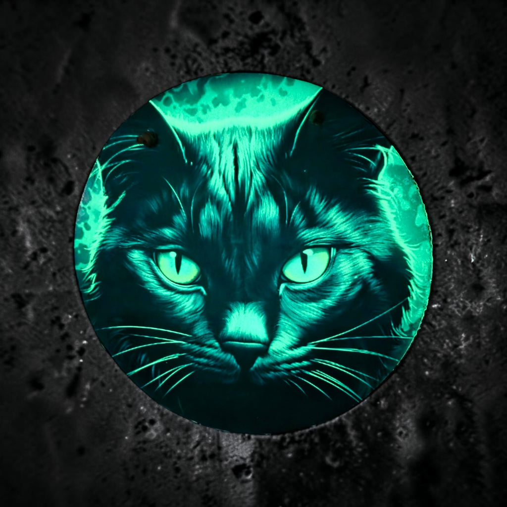 Black Cat Round Hanging Door Sign Glow In The Dark