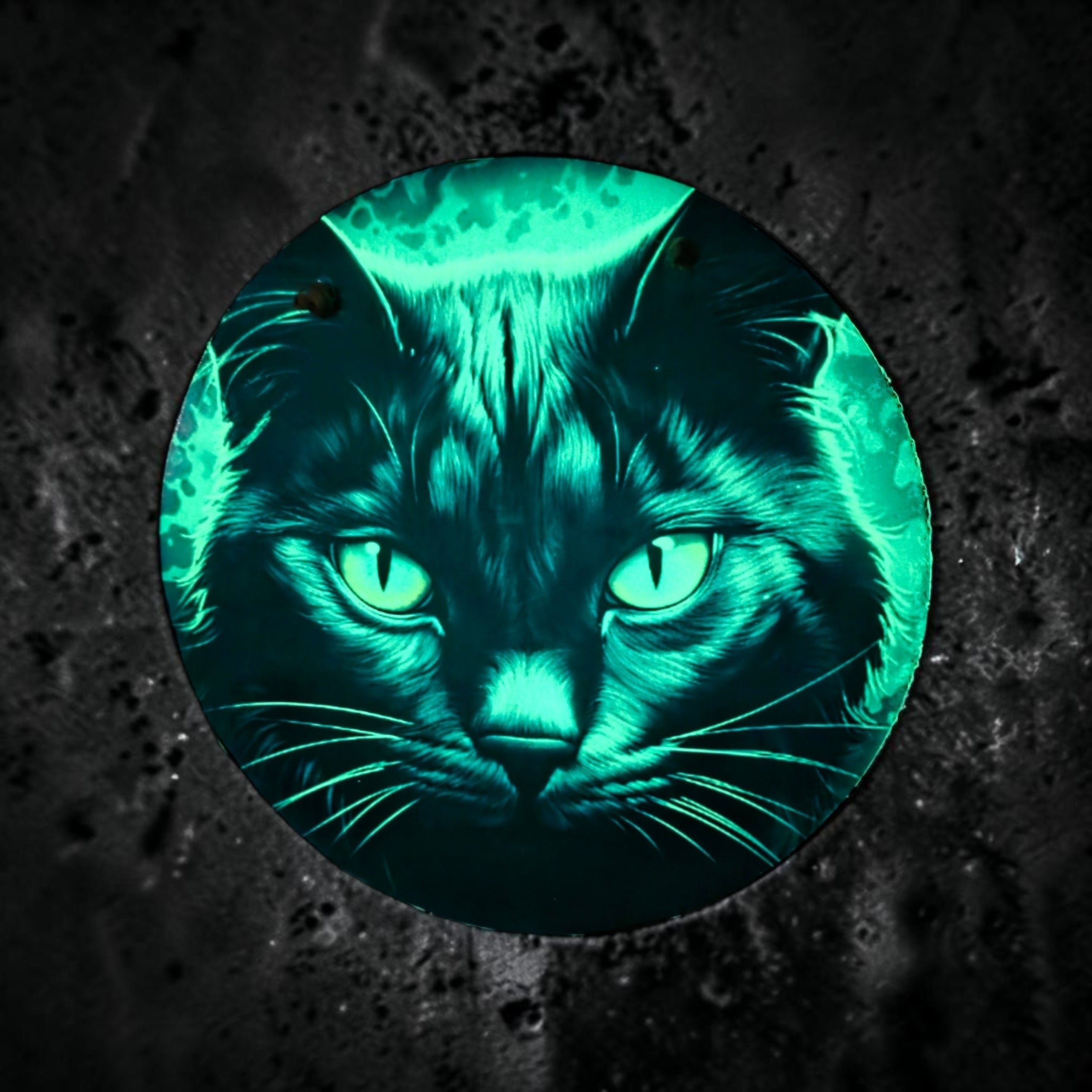 Black Cat Round Hanging Door Sign Glow In The Dark